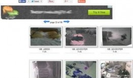 俄罗斯内部爆料视频大全,爆料视频大全深度解析