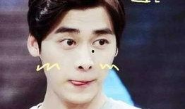 李易峰爆料小新视频大全,小新视频大全背后的趣味故事