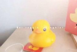 小黄鸭爆料视频大全,揭秘娱乐圈幕后真相