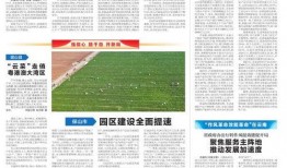 娱乐日报爆料新闻内容怎么写,明星最新动态大曝光！