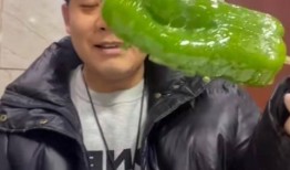 成县的吃瓜网红主角,揭秘当地美食背后的故事