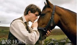 爱马电影在线观看,一场视觉与情感的盛宴