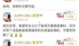 吃瓜日记第一季完整版免费观看,揭秘娱乐圈幕后真相，免费观看大揭秘