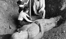 延安网红吃瓜事件真相视频,真相视频曝光背后的真相