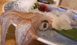 预制鱼片爆料视频大全,视频大全带你探秘现代食品加工