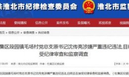 大新闻最新爆料视频,最新爆料视频深度解析