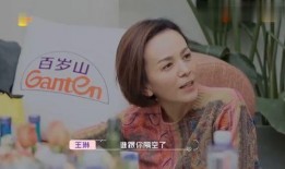 王琳回应爆料视频播放,澄清事实真相