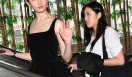 爆料霸凌刘亦菲视频在线观看,真相与争议背后的网络暴力