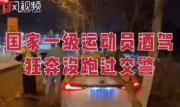 美国警察爆料视频播放大全,真实执法背后的故事