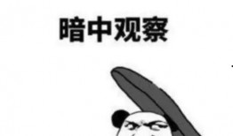 娱乐吃瓜君暗中观察,吃瓜君暗中观察背后的真相