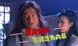 明星爆料李诚儒视频全集,揭秘娱乐圈幕后真相