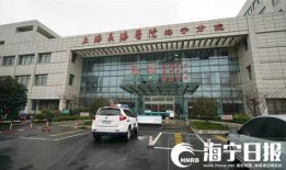 新宇星城爆料视频曝光,神秘项目背后真相曝光