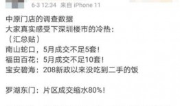 深圳破产房产最新爆料,揭秘低价捡漏机会与潜在风险