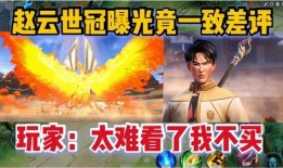 爆料赵云世冠的是谁啊视频,揭秘爆料视频背后的真相