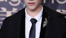 爆料娱乐圈郑云龙是谁的徒弟,郑云龙徒弟身份引发热议