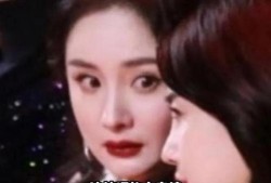 吃瓜系统娱乐圈完结,吃瓜系统大结局揭秘