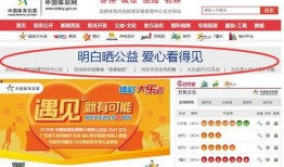 足彩竞彩新闻爆料最新,最新爆料揭示赛事内幕