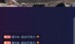 六哥爆料雪茄视频播放下载,雪茄视频播放下载攻略大公开