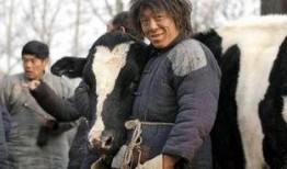 电影斗牛在线观看,激情岁月的生死较量