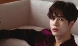 网友爆料王嘉尔视频下载,王嘉尔精彩视频下载，瞬间引发网友热议！