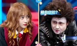 沈腾大爆料贾玲视频全集,视频全集深度解析