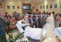 情侣宫殿爆料视频,视频曝光浪漫瞬间