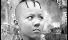 三毛爆料冯小刚视频全集,全集揭秘背后的惊人内幕