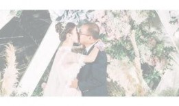 白夜婚礼在线观看,浪漫邂逅，爱情永恒的见证