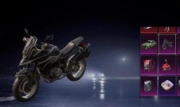 摩托车载具皮肤最新爆料,炫酷设计，视觉盛宴即将来袭！