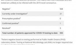 加拿大病毒爆料最新消息,疫情动态与防控措施全解析