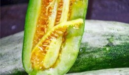 惠州网红吃瓜,揭秘当地美食文化新潮流