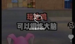 澳门大熊爆料视频下载,揭秘幕后真相