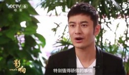 圈内爆料赵薇黄晓明,揭秘娱乐圈背后的故事