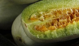 网红的QQ吃瓜群,幕后故事与八卦风云