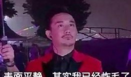 黄磊独家爆料视频大全下载,揭秘娱乐圈幕后故事