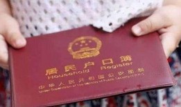 户口电视剧在线观看,揭秘户籍制度的变迁与人生轨迹