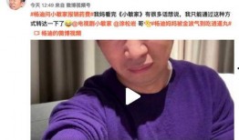安琪妈妈爆料视频大全集,揭秘幕后真相