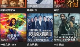 澳门大熊爆料视频下载,揭秘幕后真相