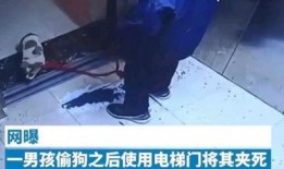 小料爆料小视频,短视频背后的精彩故事