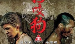 暴力挽歌电影在线观看,在线重温生死边缘的惊悚之旅