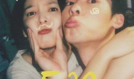 爱马电影在线观看,一场视觉与情感的盛宴