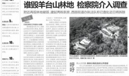 平湖最新爆料案件新闻报道,神秘失踪背后隐藏惊人真相