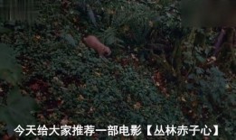 丛林赤子心在线观看