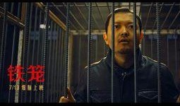 真相 在线观看,在线观看背后的故事与启示