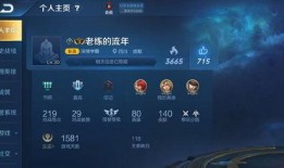 国服王者最新爆料视频