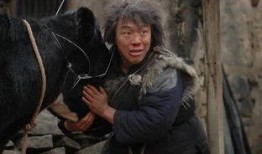 电影斗牛在线观看,激情岁月的生死较量