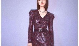 蓝盈莹圈内人爆料,揭秘娱乐圈背后的真相与内幕