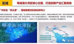 广州edy最新爆料,揭秘城市热点事件背后的真相