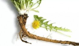 情报处吃瓜娱乐小八卦