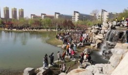 樱花独家爆料视频,樱花爆料视频背后的惊人真相